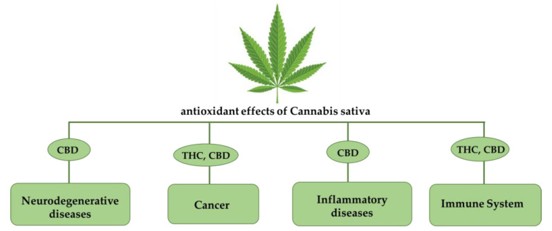 PMC9916673 – ijms-24-02513-f001