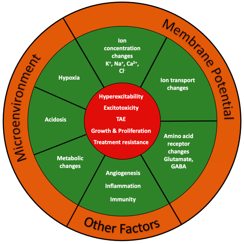 PMC9916861 – ijms-24-02530-f005