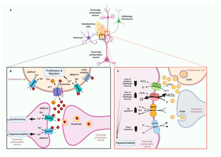 PMC9916861 – ijms-24-02530-f006