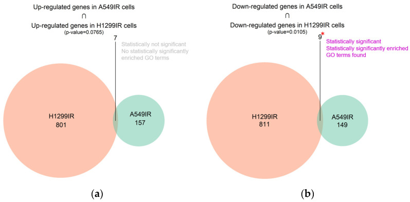 PMC9917840 – ijms-24-03042-f002