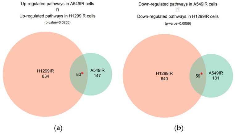 PMC9917840 – ijms-24-03042-f004