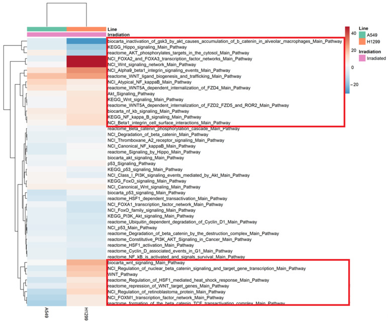 PMC9917840 – ijms-24-03042-f005