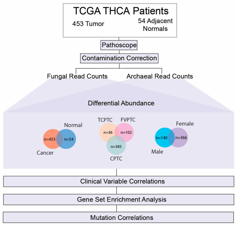 PMC9967748 – ijms-24-03148-f001