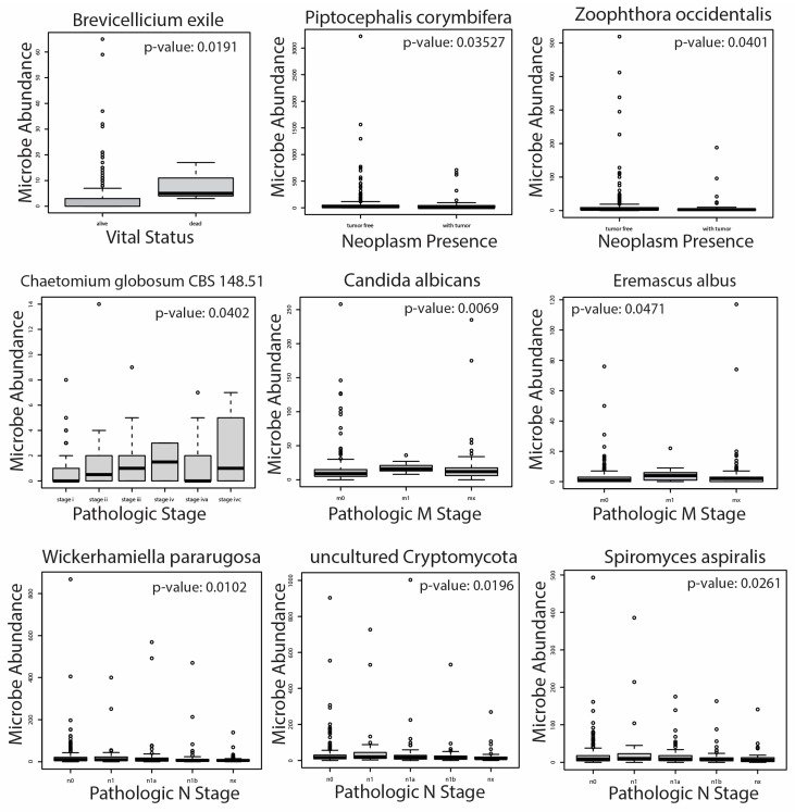 PMC9967748 – ijms-24-03148-f004