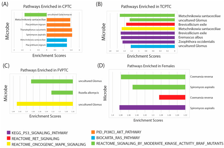 PMC9967748 – ijms-24-03148-f005
