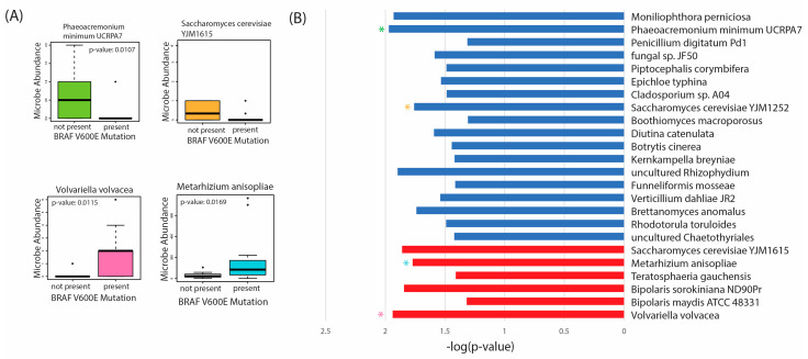 PMC9967748 – ijms-24-03148-f006