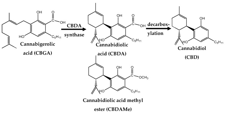 PMC9958868 – ijms-24-03828-f001