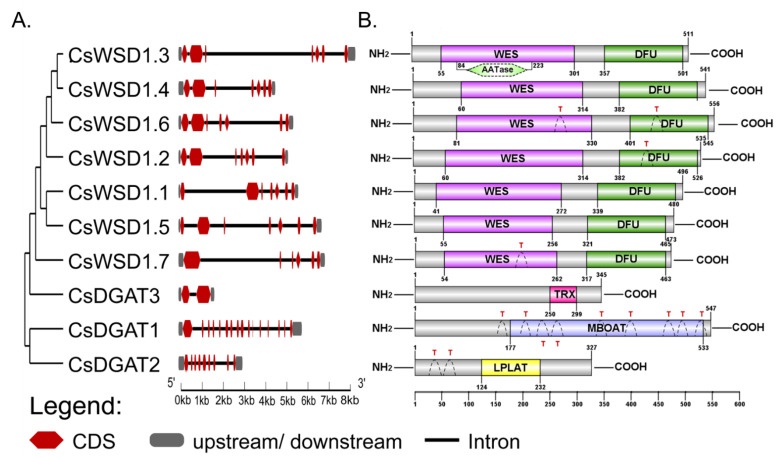PMC9963917 – ijms-24-04078-f003