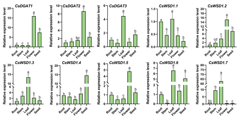 PMC9963917 – ijms-24-04078-f007