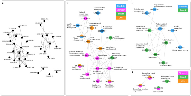 PMC10003012 – ijms-24-04796-f002