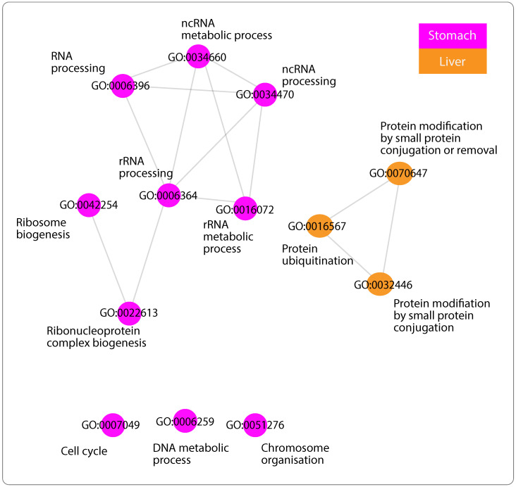 PMC10003012 – ijms-24-04796-f003