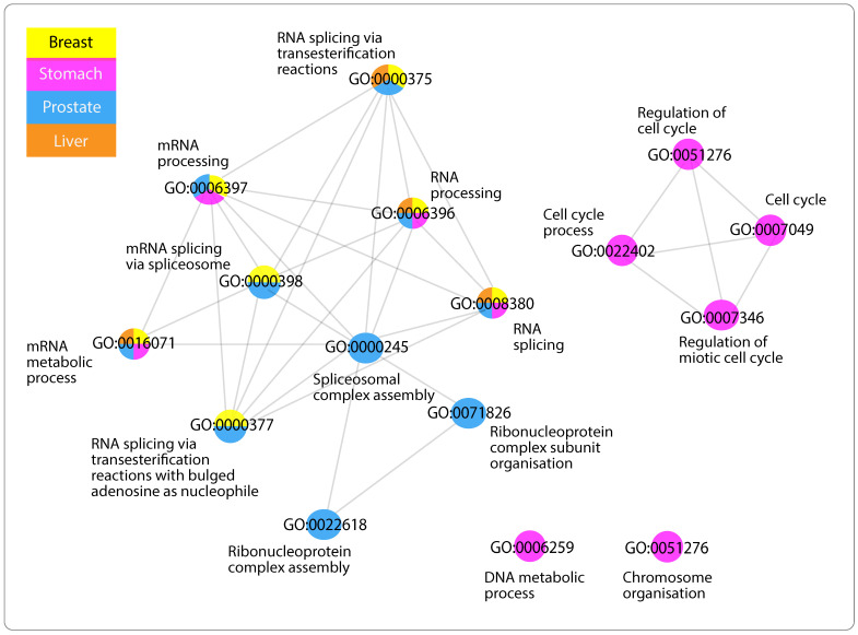 PMC10003012 – ijms-24-04796-f004