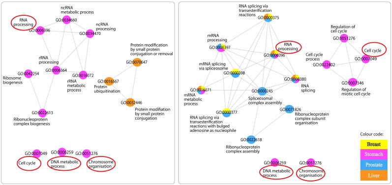 PMC10003012 – ijms-24-04796-f005