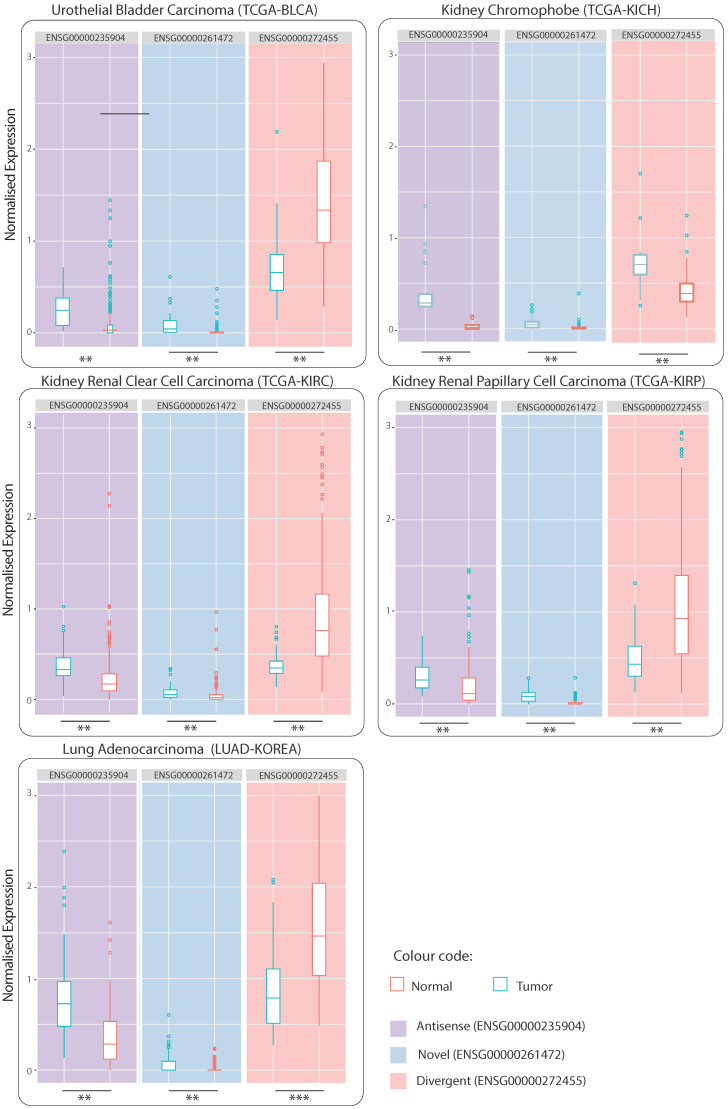 PMC10003012 – ijms-24-04796-f006
