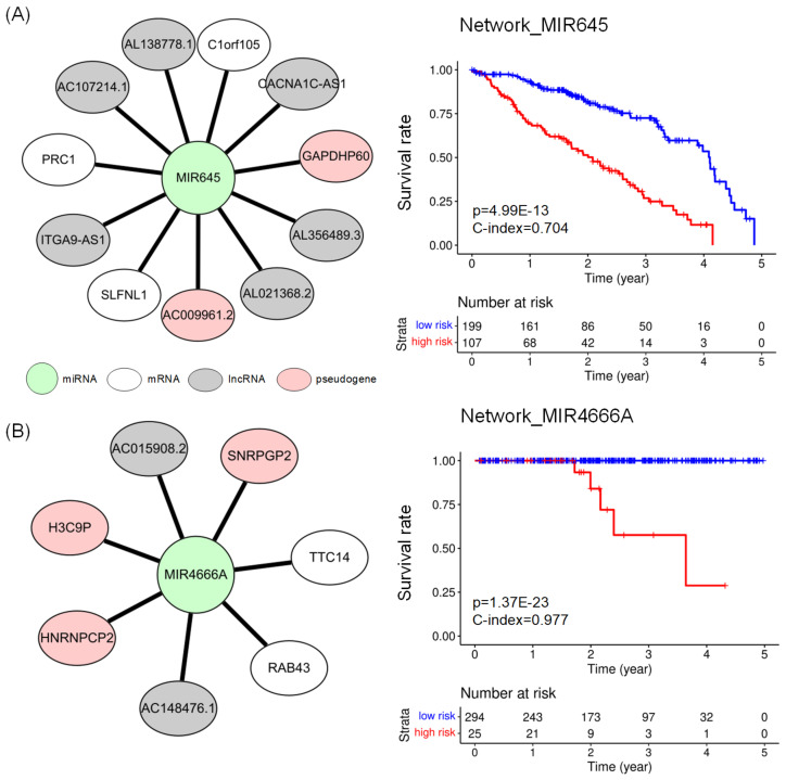 PMC10003110 – ijms-24-05052-f003