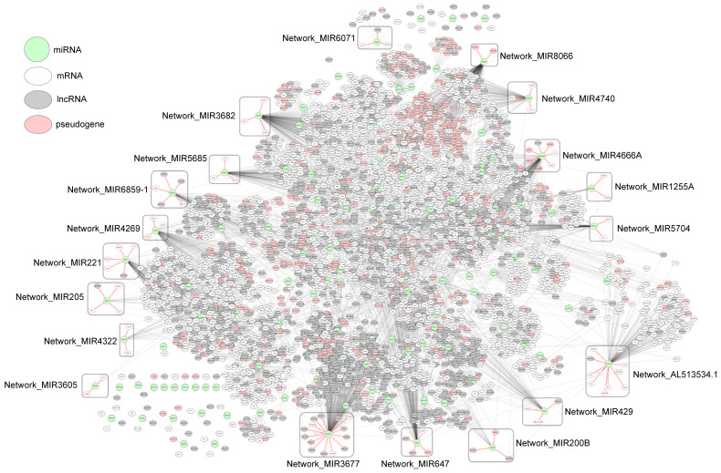 PMC10003110 – ijms-24-05052-f004