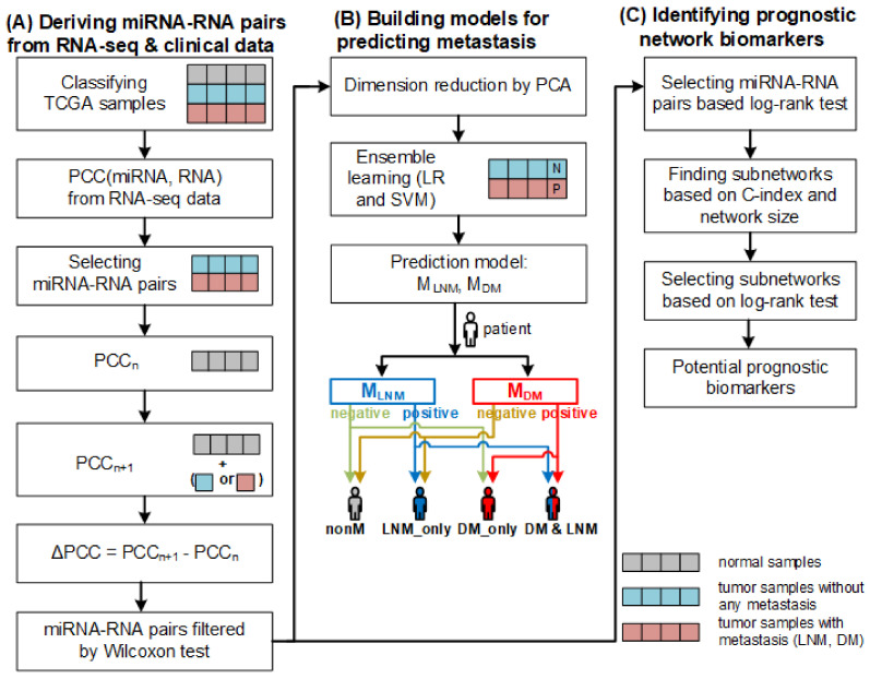PMC10003110 – ijms-24-05052-f006