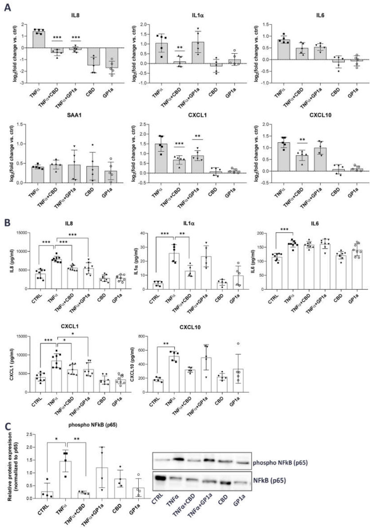 PMC10003465 – ijms-24-05055-f003