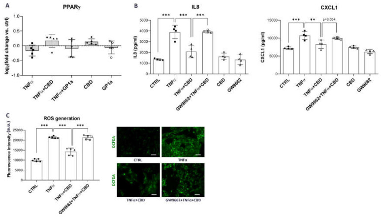 PMC10003465 – ijms-24-05055-f005