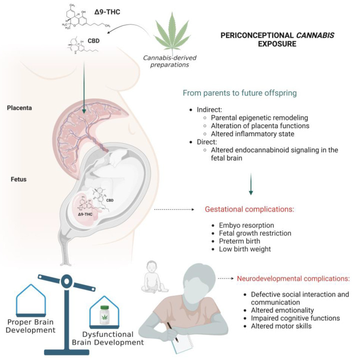 PMC10048990 – ijms-24-05220-f002