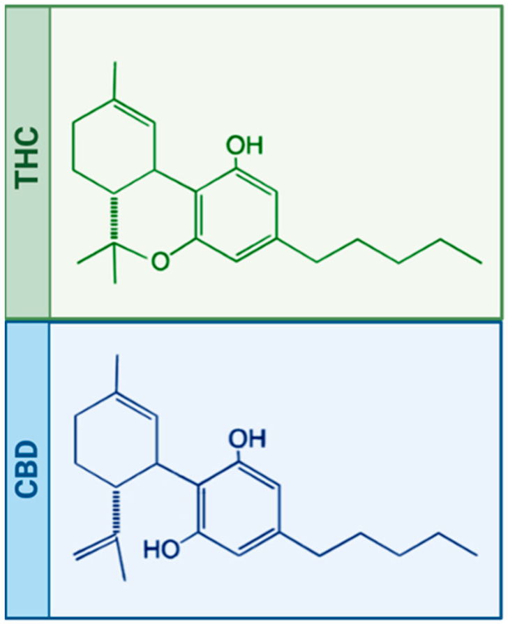 PMC10048857 – ijms-24-05251-f001