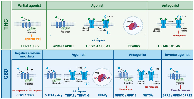 PMC10048857 – ijms-24-05251-f004