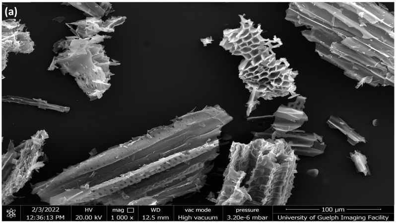 PMC10094122 – ijms-24-06093-f004