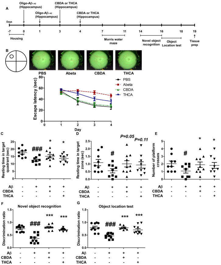 PMC10095267 – ijms-24-06827-f003