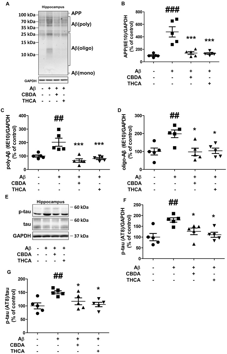PMC10095267 – ijms-24-06827-f004