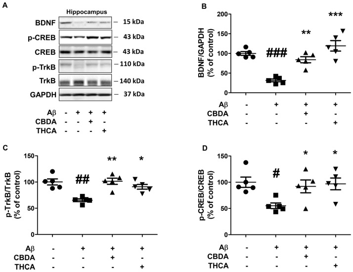 PMC10095267 – ijms-24-06827-f005