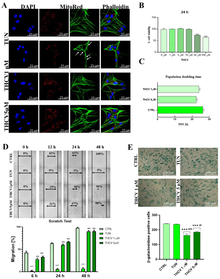 PMC10138341 – ijms-24-07120-f001