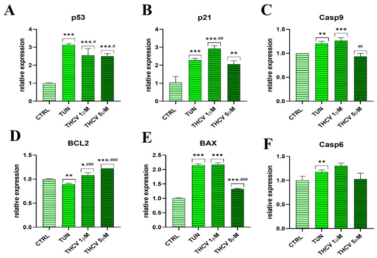 PMC10138341 – ijms-24-07120-f002