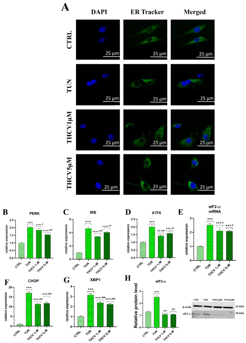 PMC10138341 – ijms-24-07120-f003