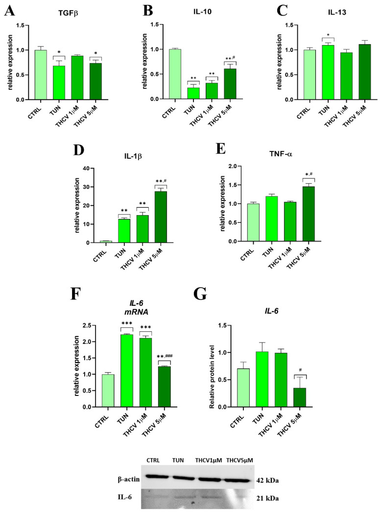 PMC10138341 – ijms-24-07120-f004