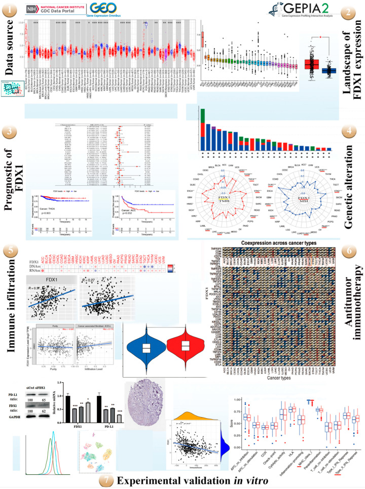 PMC10253061 – ijms-24-09182-f001