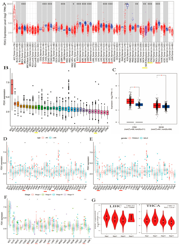 PMC10253061 – ijms-24-09182-f002