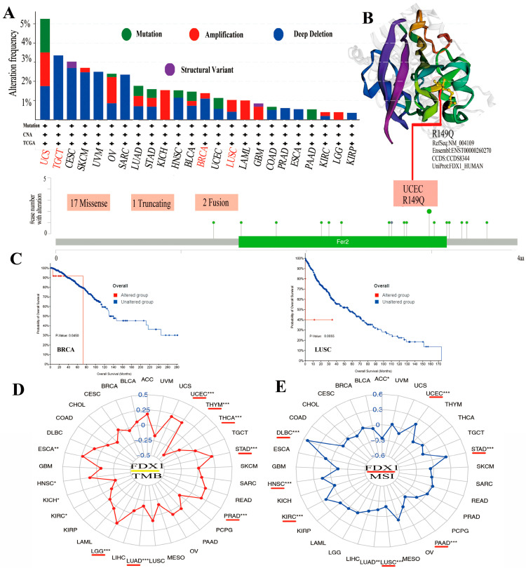 PMC10253061 – ijms-24-09182-f004