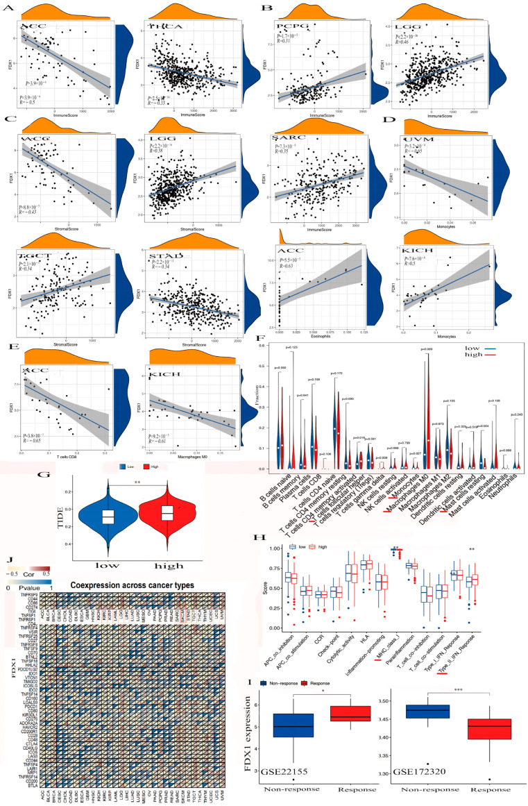 PMC10253061 – ijms-24-09182-f005