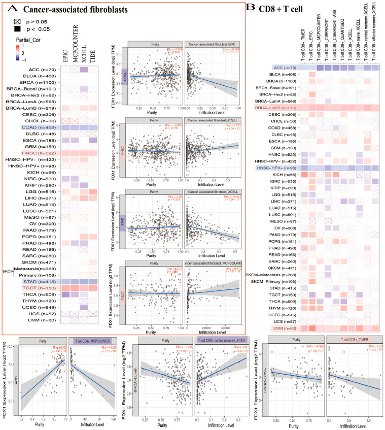 PMC10253061 – ijms-24-09182-f007