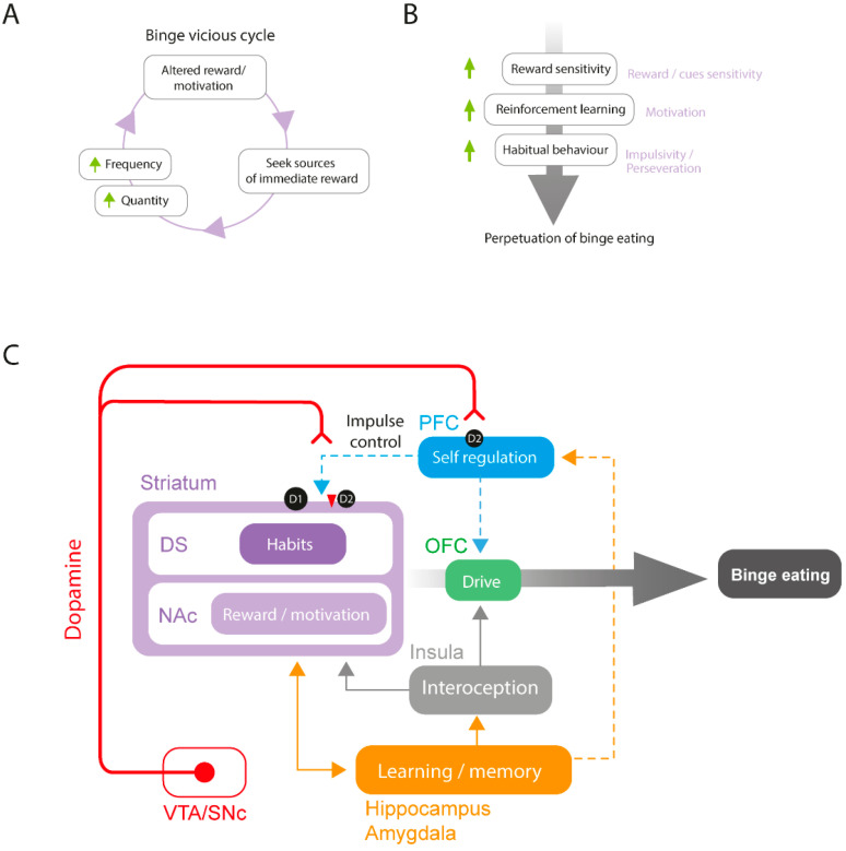 PMC10253843 – ijms-24-09574-f001