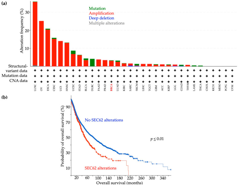 PMC10253301 – ijms-24-09576-f001