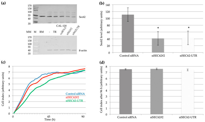 PMC10253301 – ijms-24-09576-f004