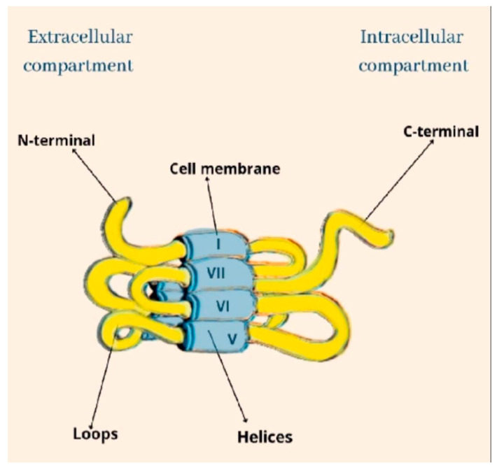 PMC10253521 – ijms-24-09693-f001