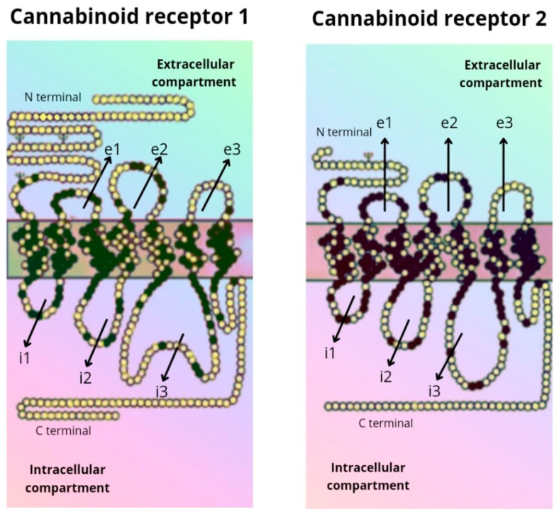 PMC10253521 – ijms-24-09693-f002