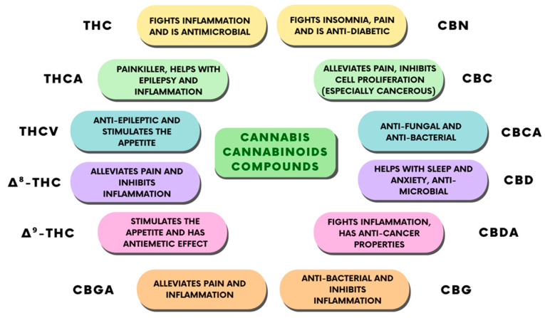 PMC10253521 – ijms-24-09693-f004