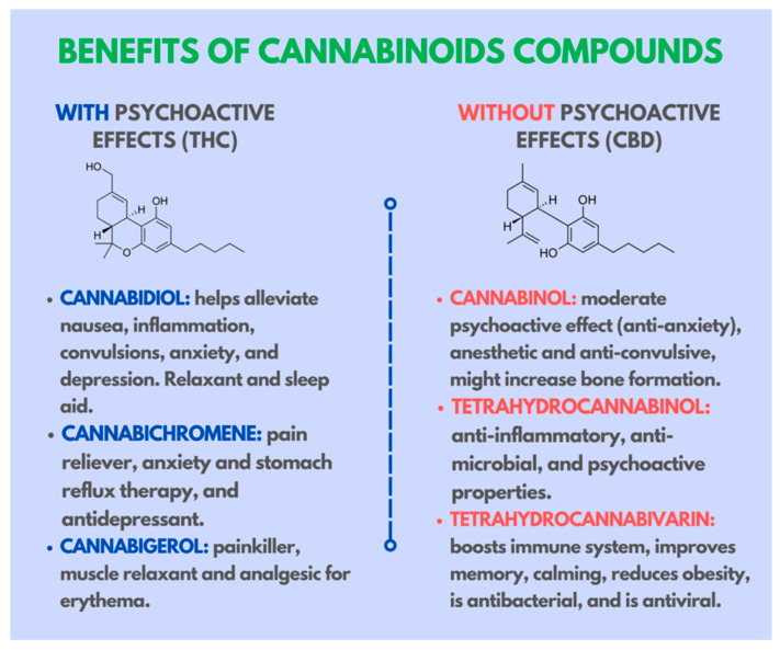 PMC10253521 – ijms-24-09693-f005