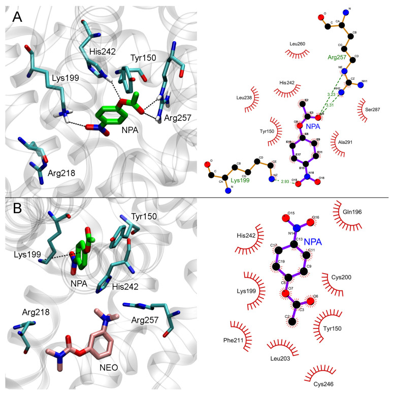 PMC10299176 – ijms-24-10383-f007