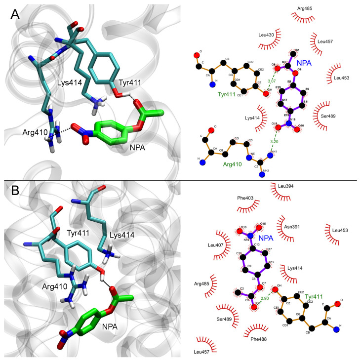 PMC10299176 – ijms-24-10383-f008