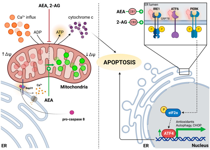 PMC10341476 – ijms-24-11003-f003