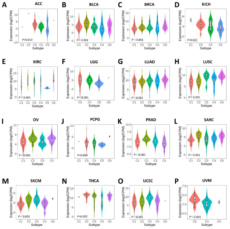 PMC10380780 – ijms-24-11566-f004